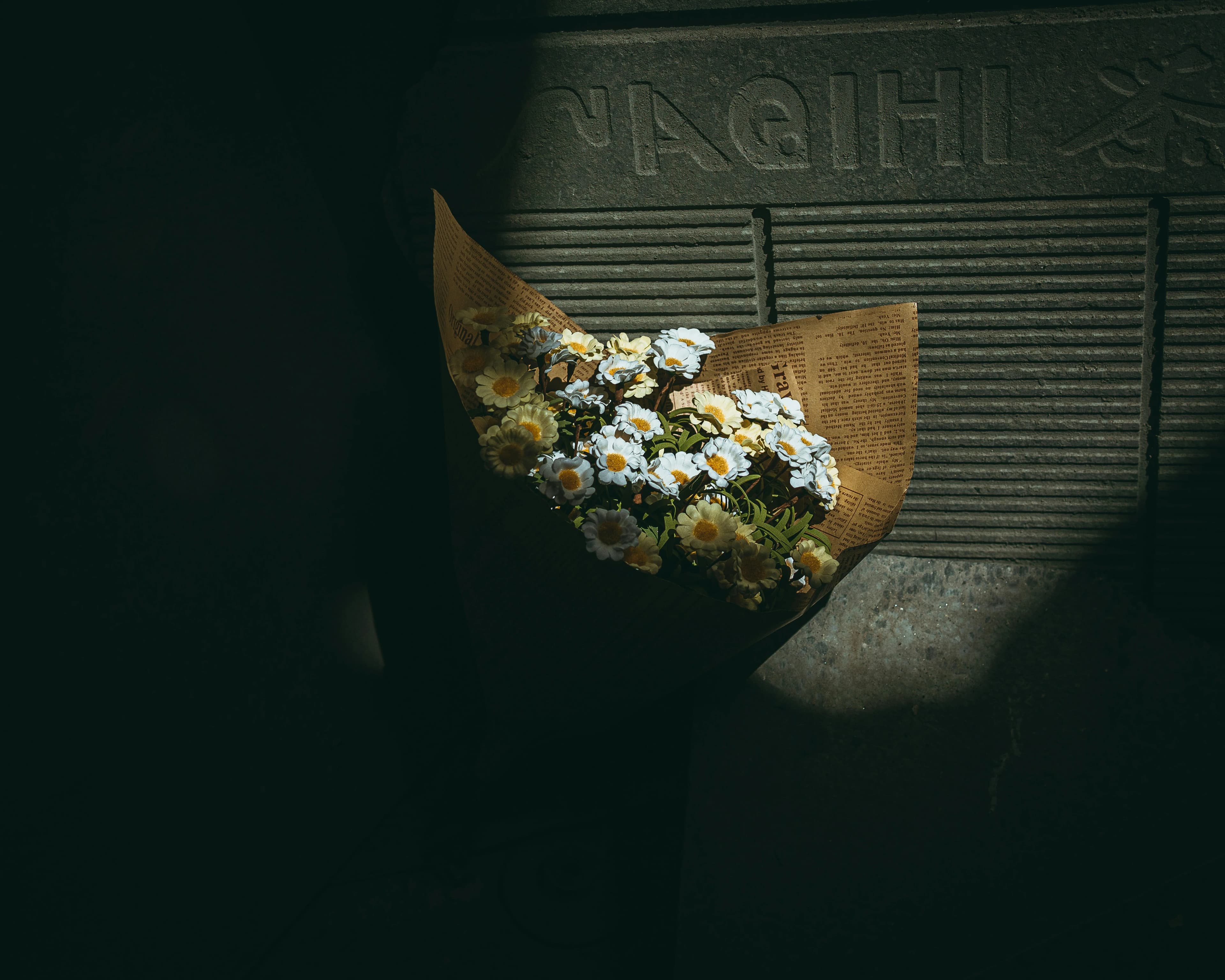 Fresh Daisy Flower Delivery: The Science, Symbolism & Perfect Bouquets
