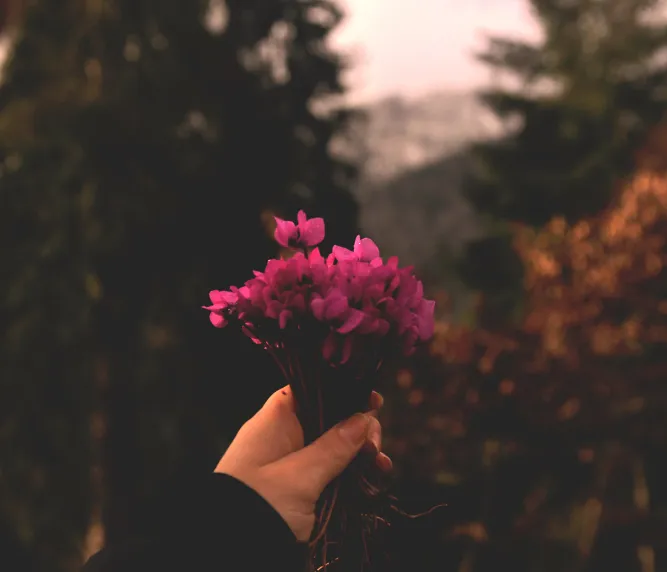 Funeral Casket Sprays: A Complete Guide to Choosing Meaningful Flowers