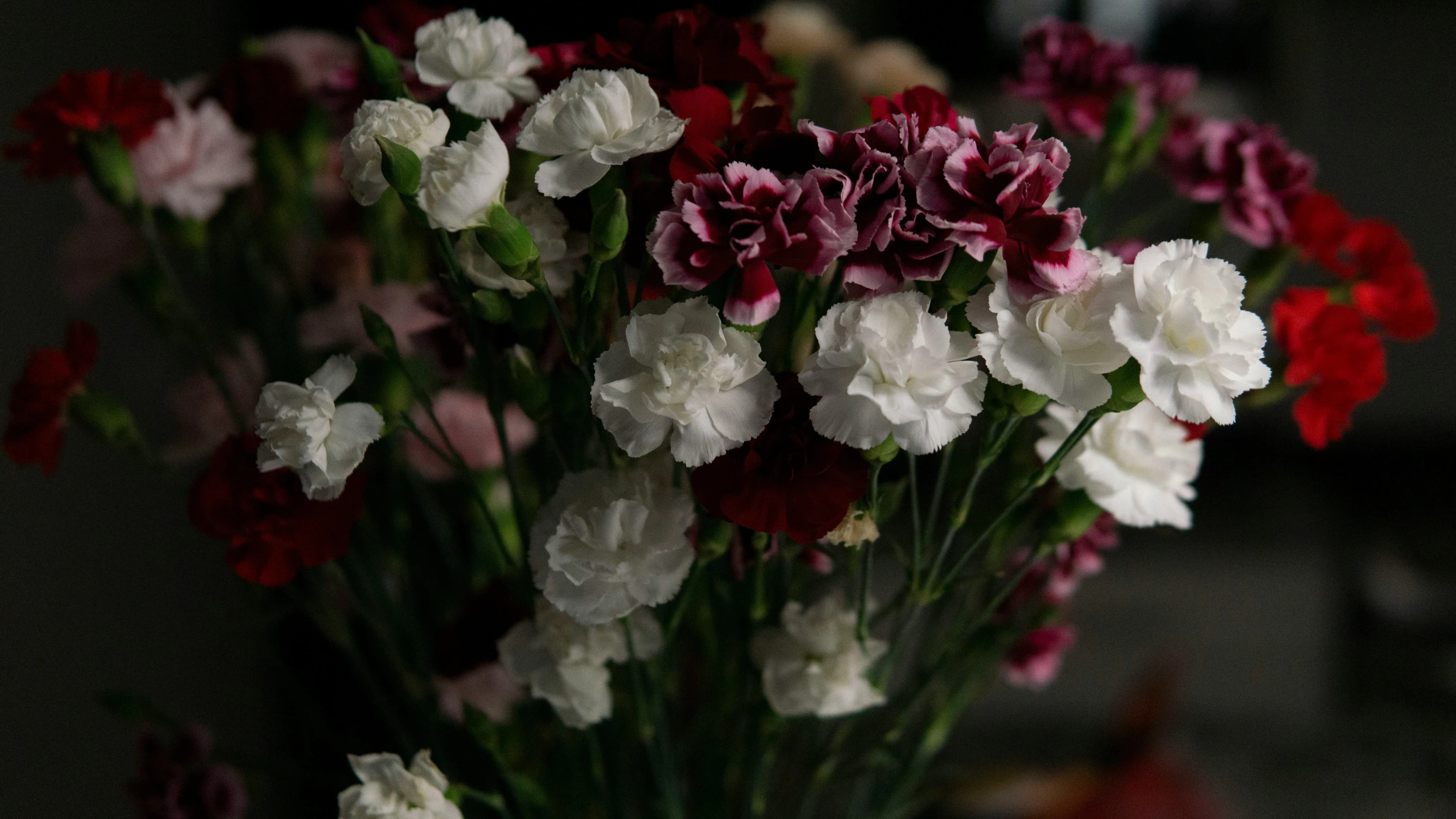 How to Keep Going After Losing Your Partner