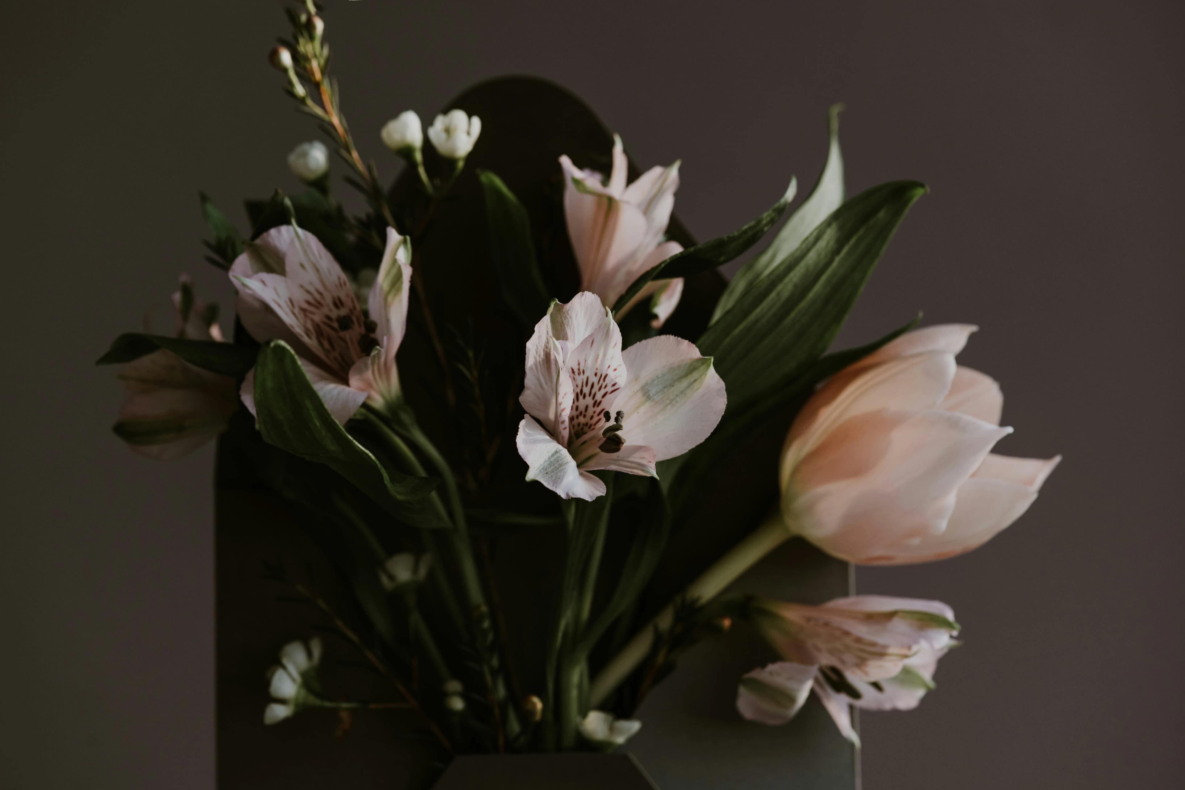 I Can’t Accept They’re Gone: When Grief Makes You Avoid the Funeral