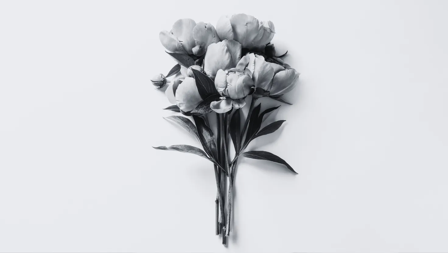 Say It with Heart: Create the Right Sympathy Message