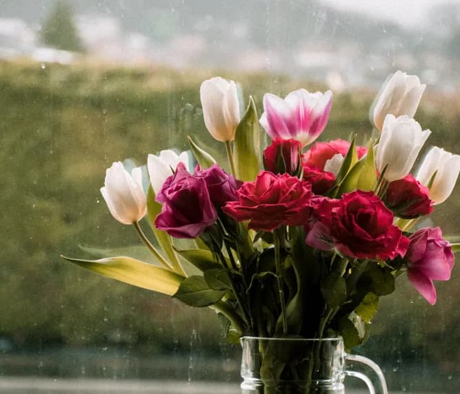 The Best Flowers for Funerals: A Guide to Choosing the Right Tribute