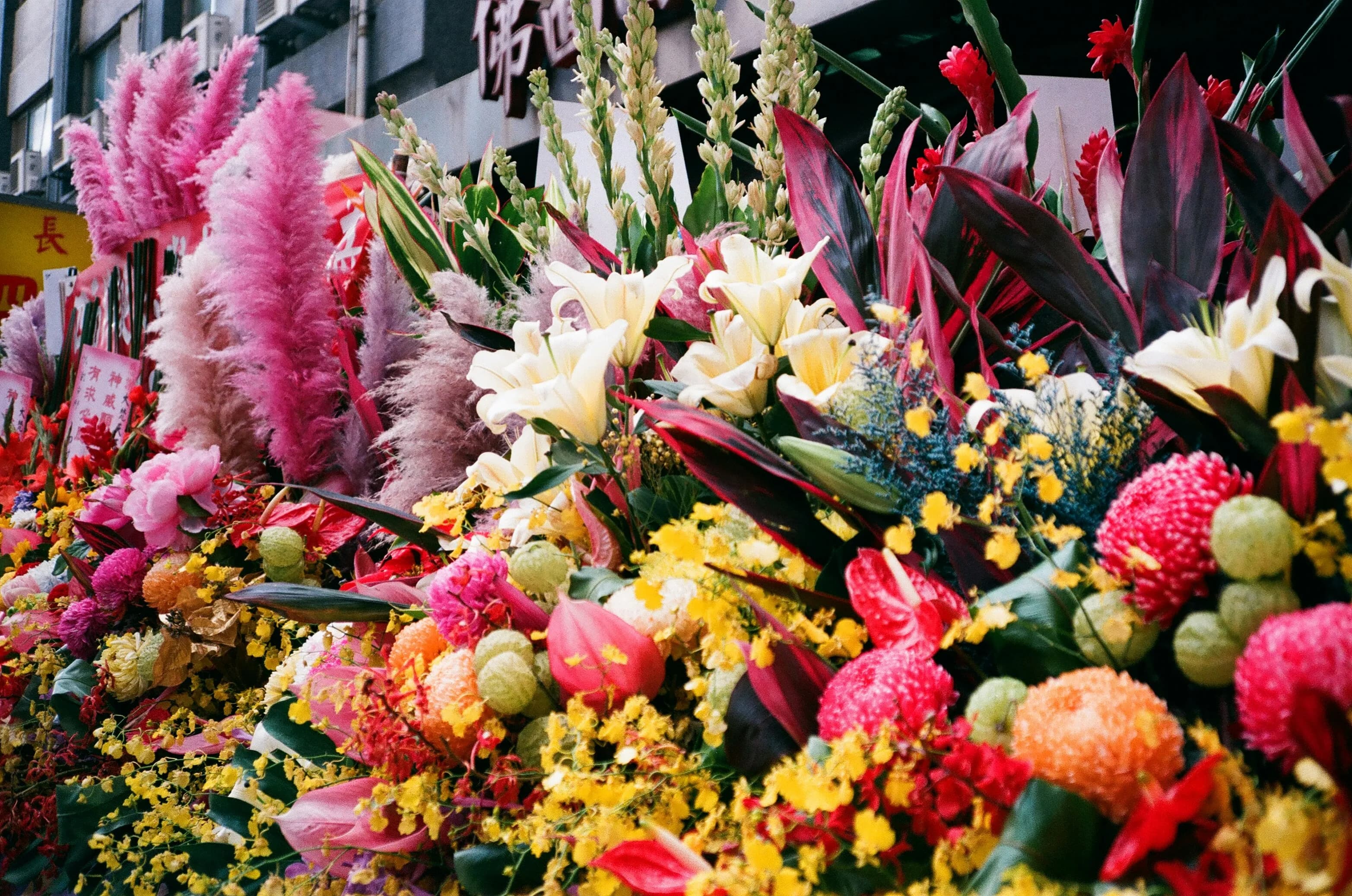 Tips for Selecting Funeral Flowers Thoughtfully