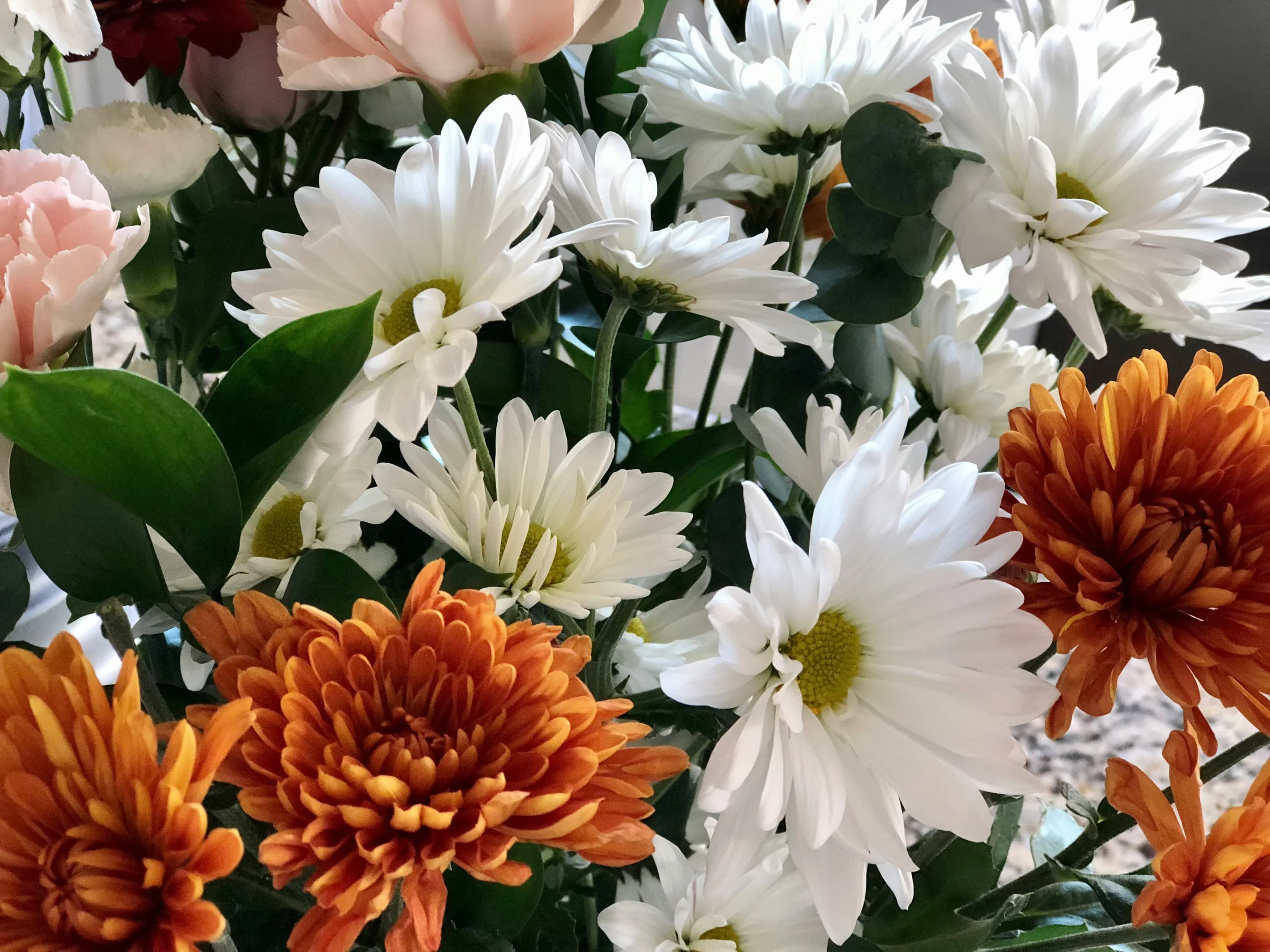 What They Left Behind—and What We Keep